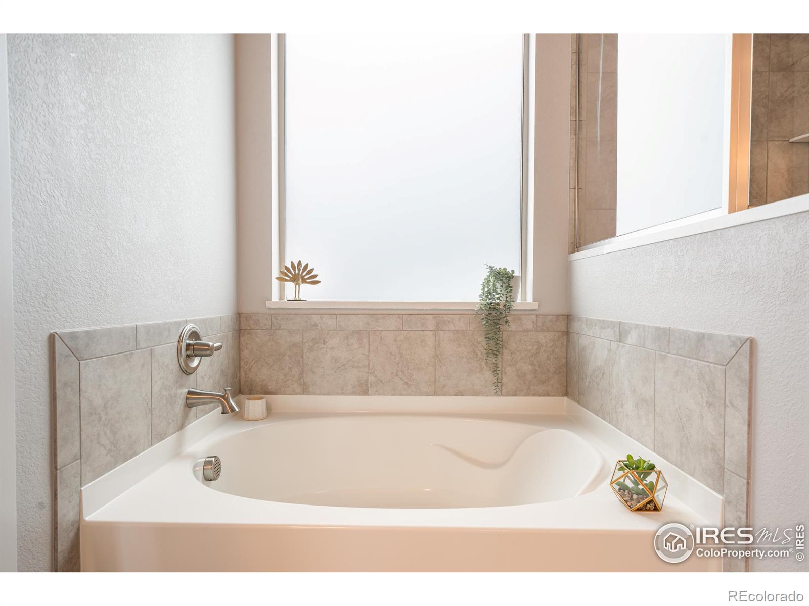 MLS Image #22 for 2102  bouquet drive,windsor, Colorado