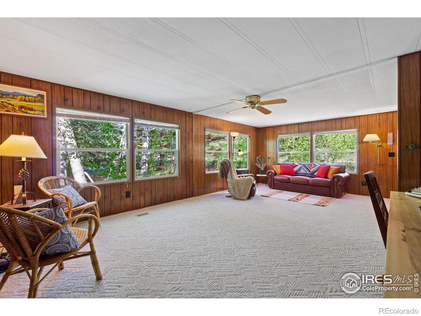 MLS Image #12 for 185  meadow lane,bellvue, Colorado