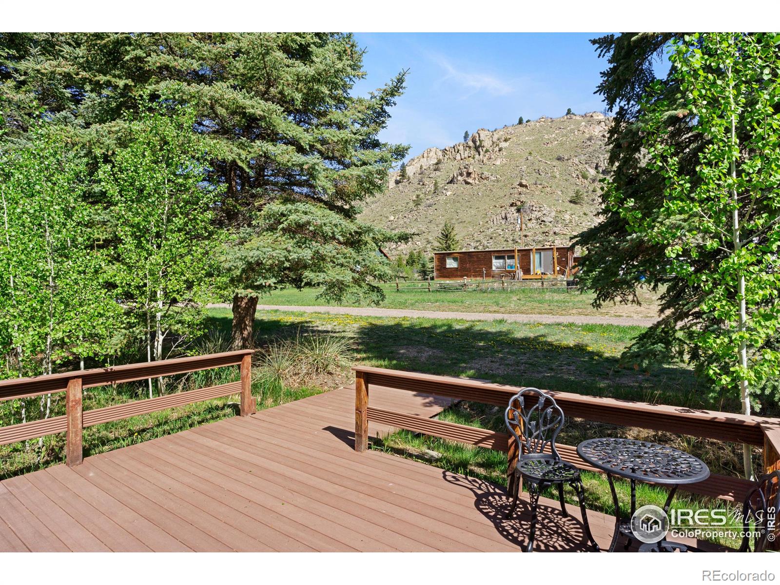 MLS Image #3 for 185  meadow lane,bellvue, Colorado