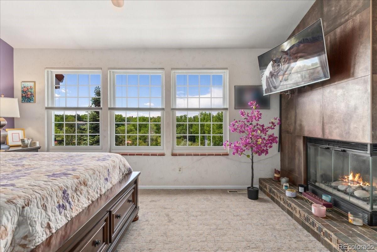 MLS Image #18 for 9117  nambe trail,lone tree, Colorado