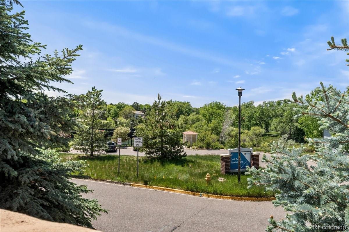 MLS Image #35 for 9117  nambe trail,lone tree, Colorado