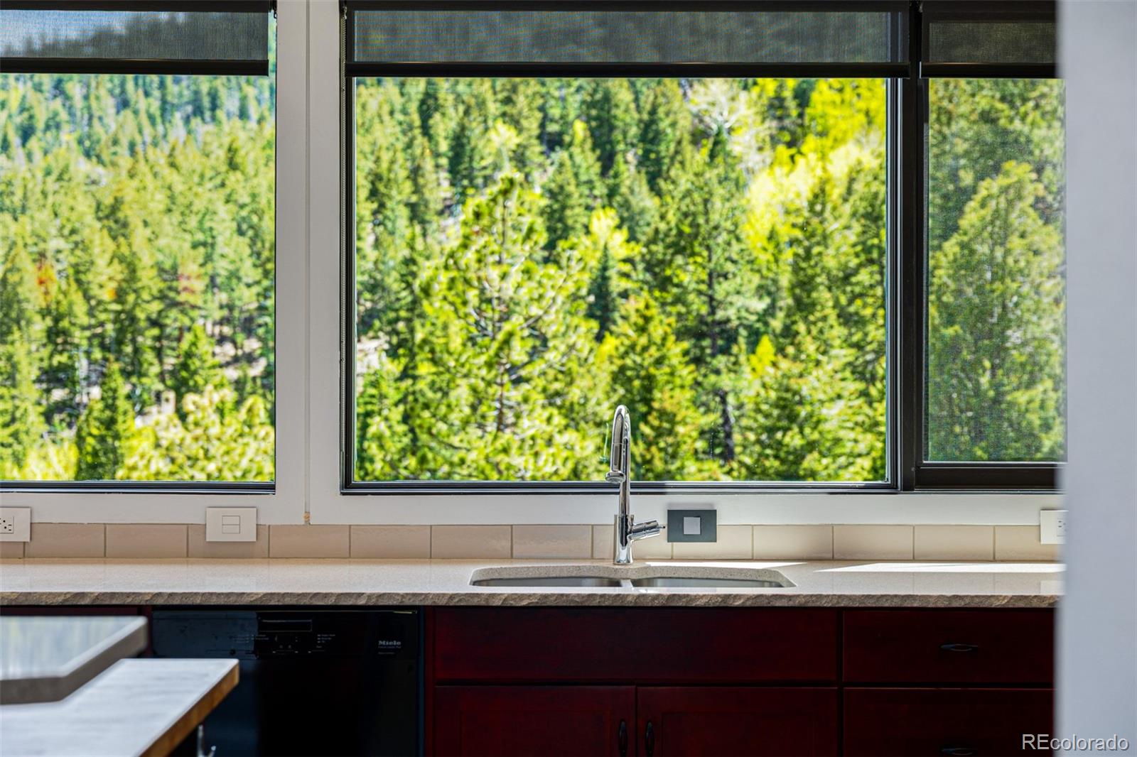 MLS Image #13 for 5896  peregrine trail,golden, Colorado