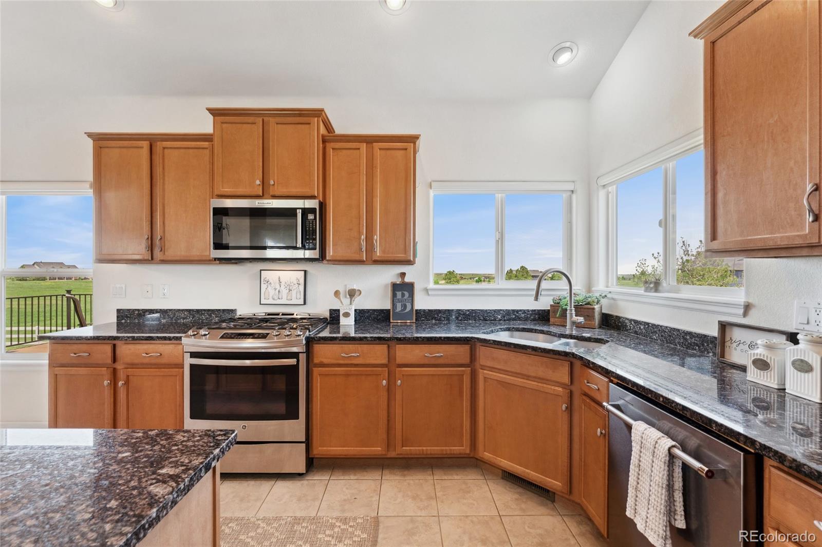 MLS Image #12 for 3047  deer creek ranch loop,parker, Colorado