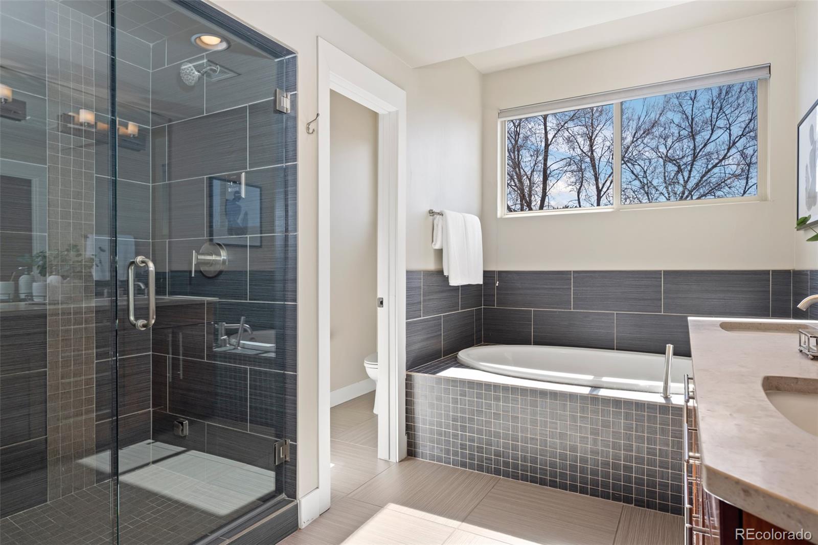 MLS Image #20 for 2053  meade street,denver, Colorado