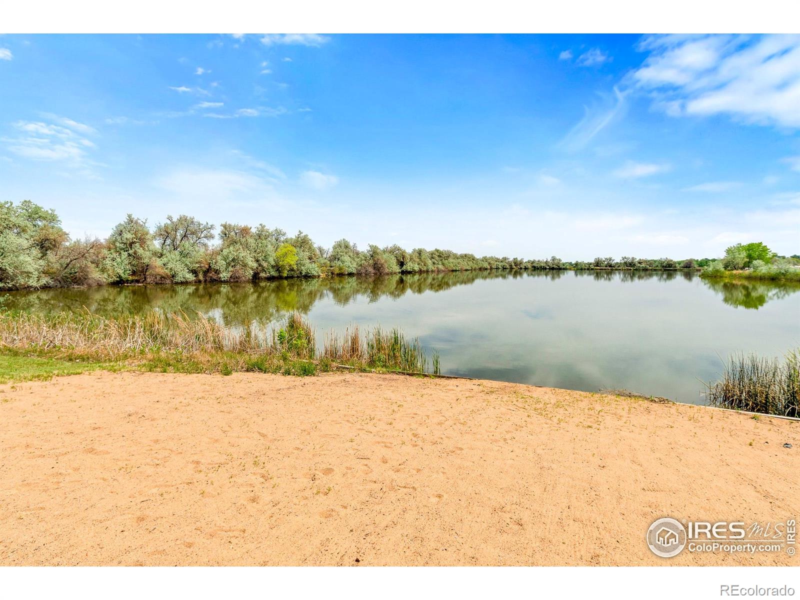 MLS Image #2 for 466 s county road 9e ,loveland, Colorado