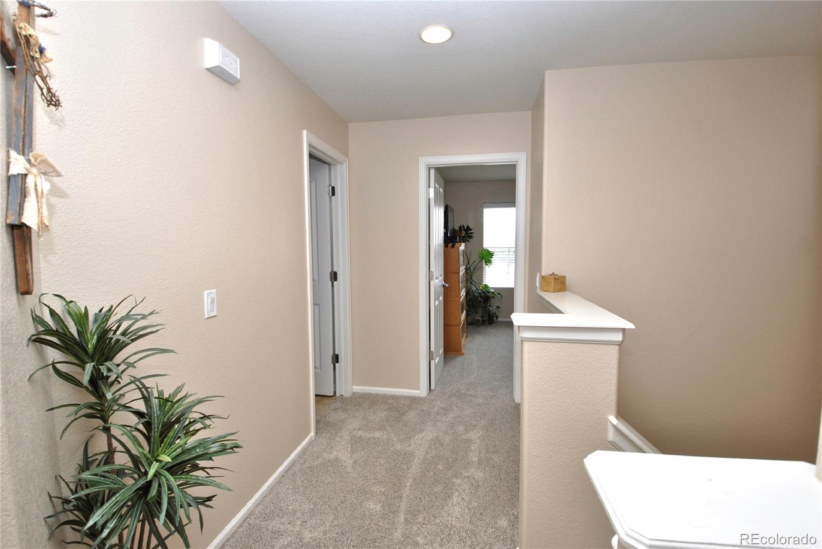 MLS Image #8 for 6918  white sand point,colorado springs, Colorado