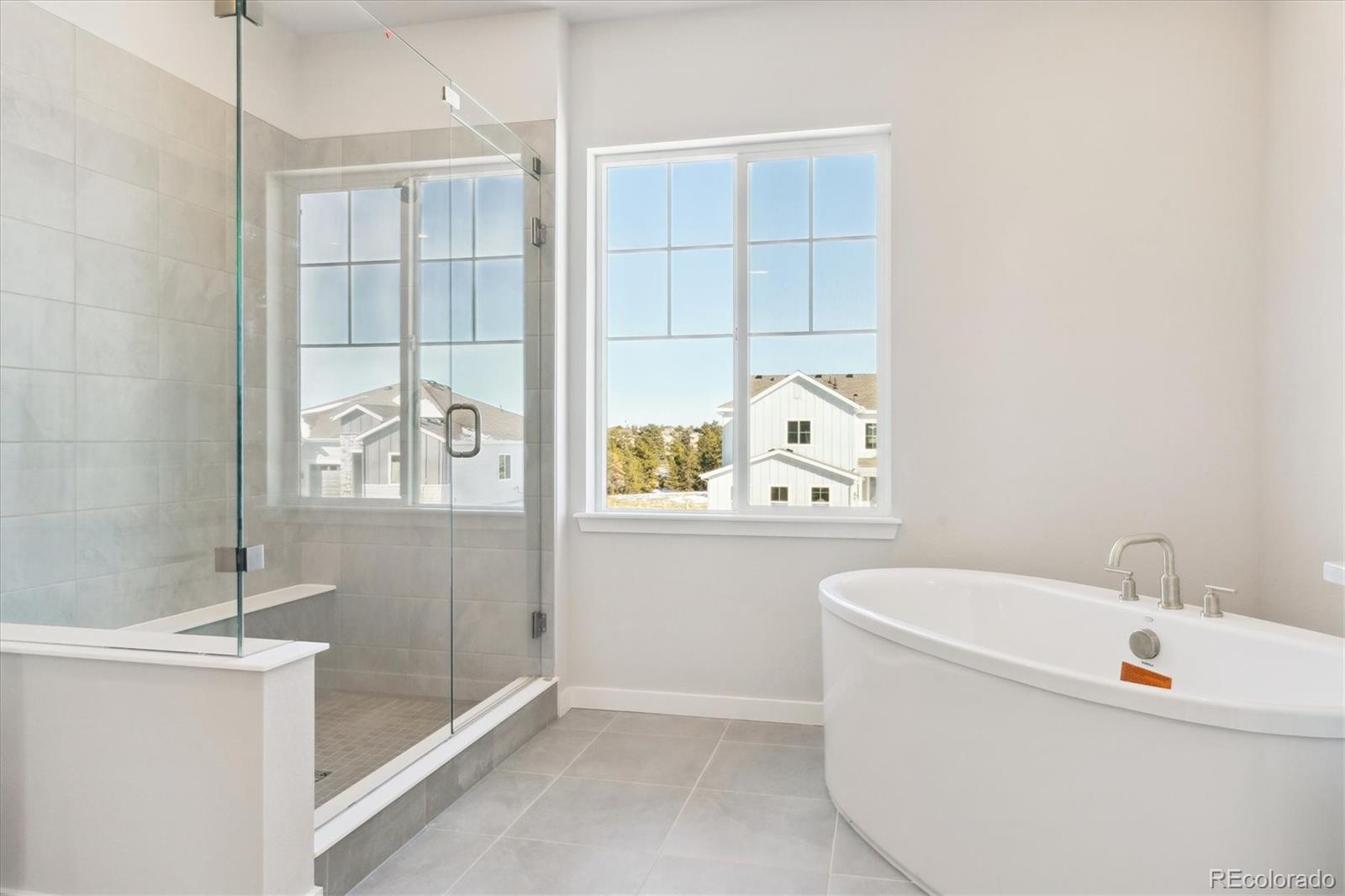 MLS Image #11 for 13765  emerald lake street,parker, Colorado
