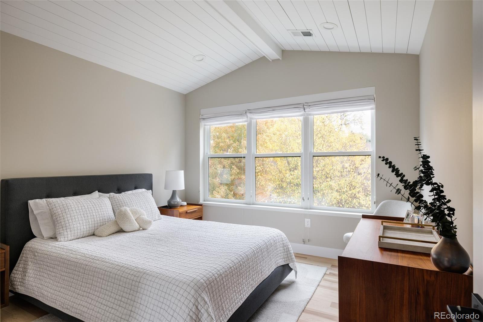 MLS Image #22 for 619 s high street,denver, Colorado