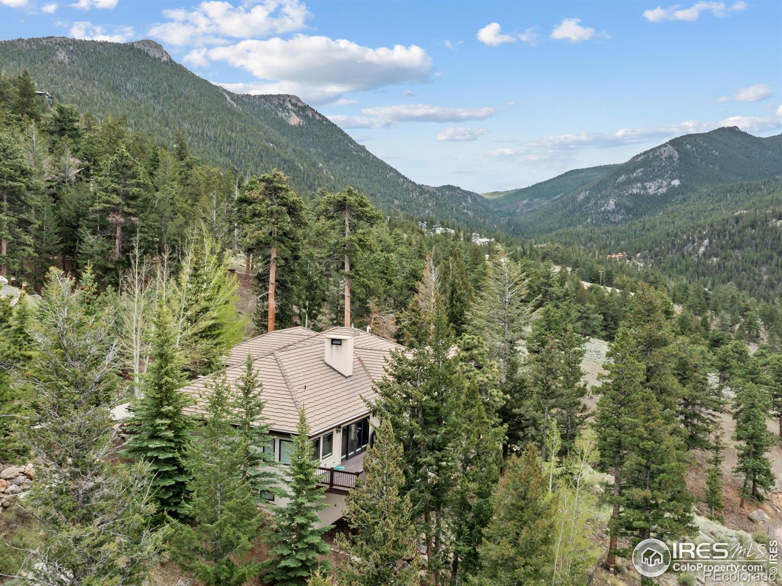 MLS Image #10 for 1740  windcliff drive,estes park, Colorado