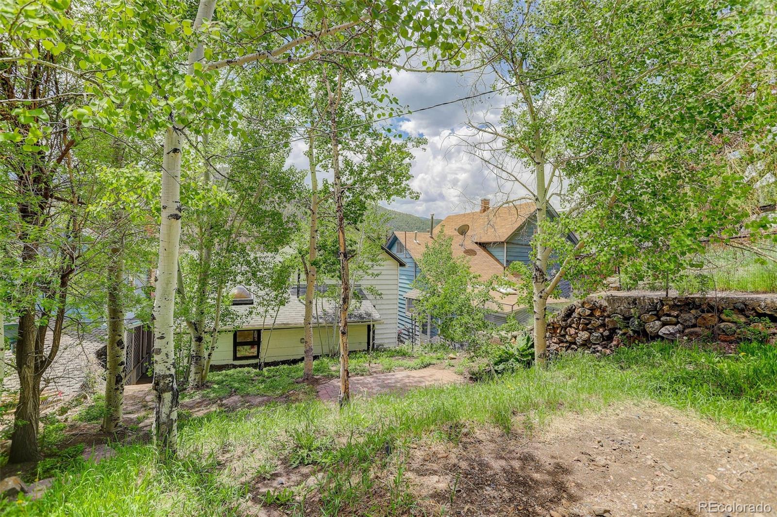 MLS Image #0 for 1324  virginia street,idaho springs, Colorado
