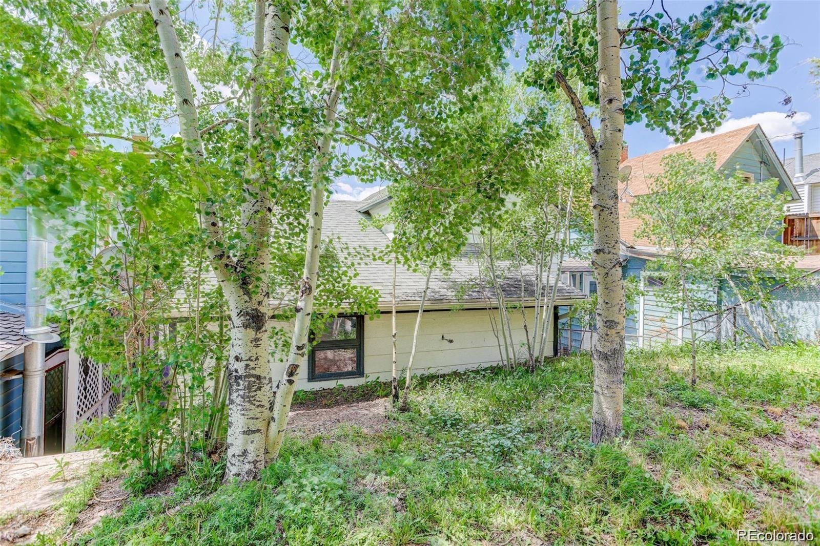 MLS Image #6 for 1324  virginia street,idaho springs, Colorado