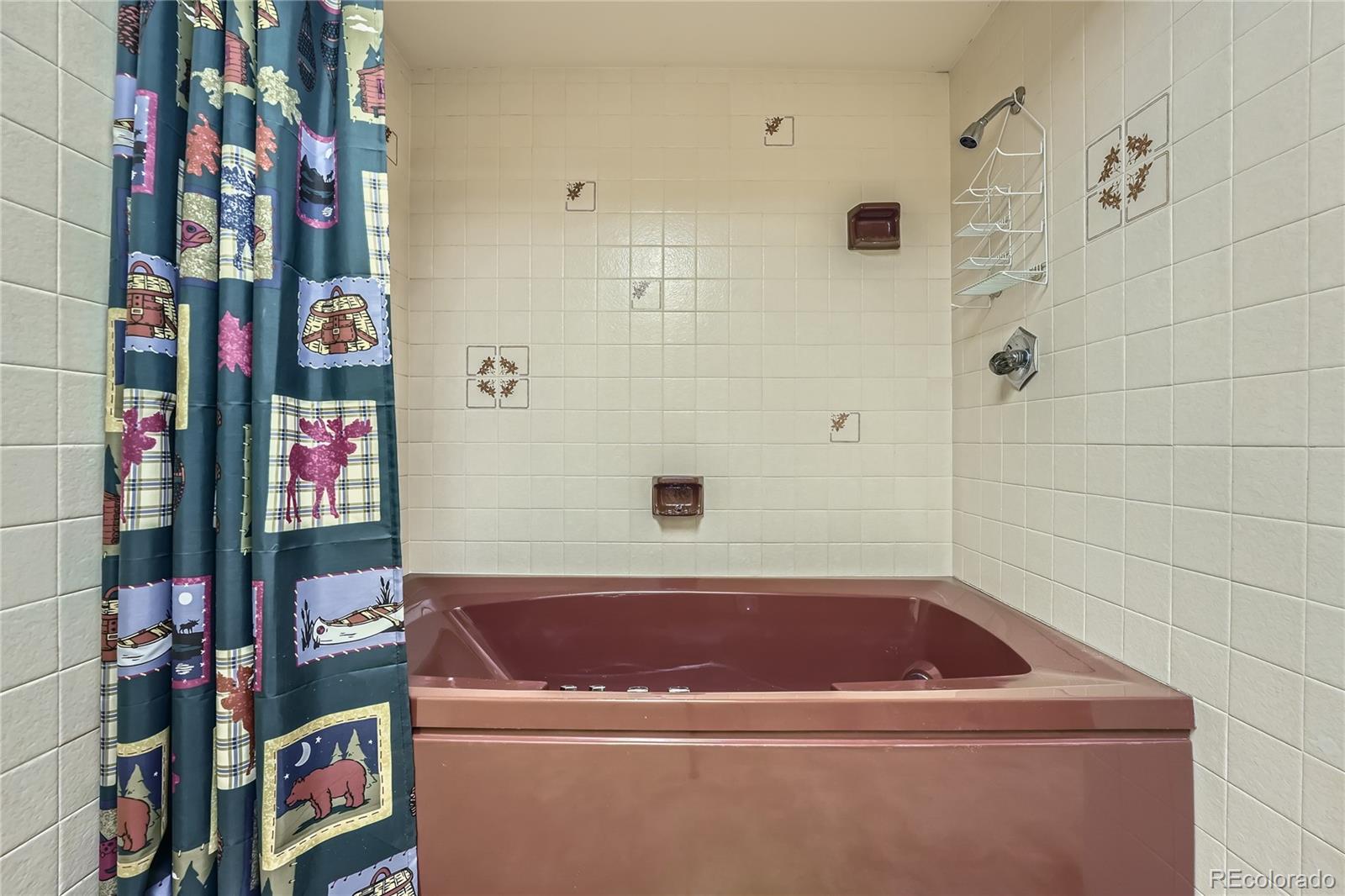 MLS Image #27 for 8164  flower circle,arvada, Colorado