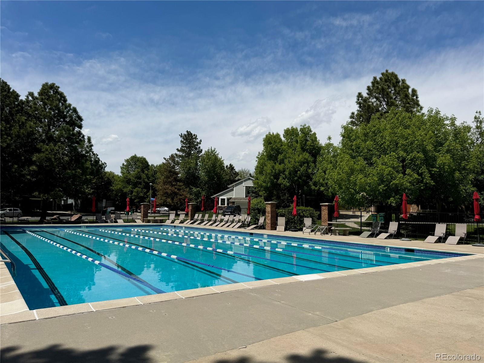 MLS Image #7 for 8164  flower circle,arvada, Colorado