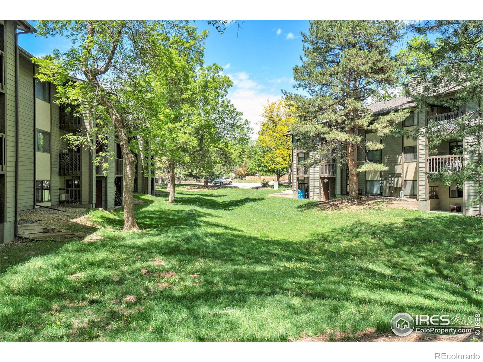 MLS Image #16 for 925  columbia road,fort collins, Colorado