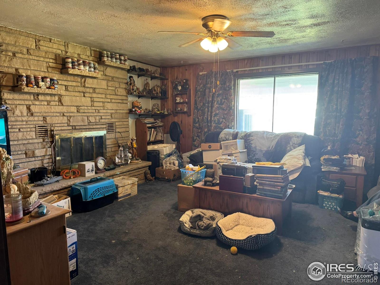 MLS Image #11 for 6600  debra drive,fort collins, Colorado