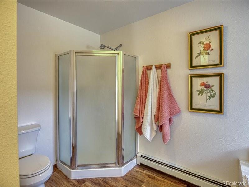 MLS Image #16 for 30  highland court,south fork, Colorado