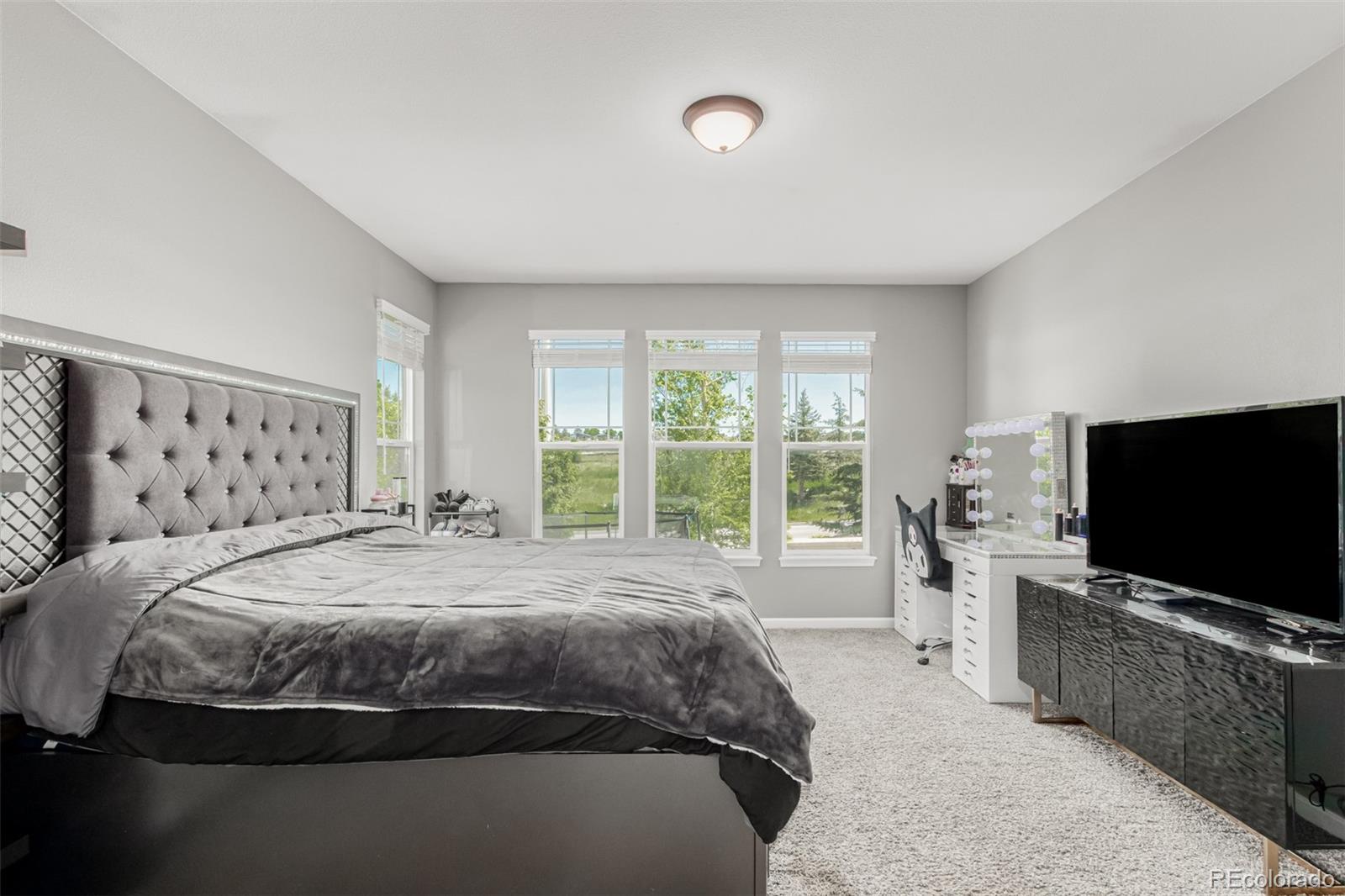 MLS Image #14 for 3502  oak meadow drive,colorado springs, Colorado