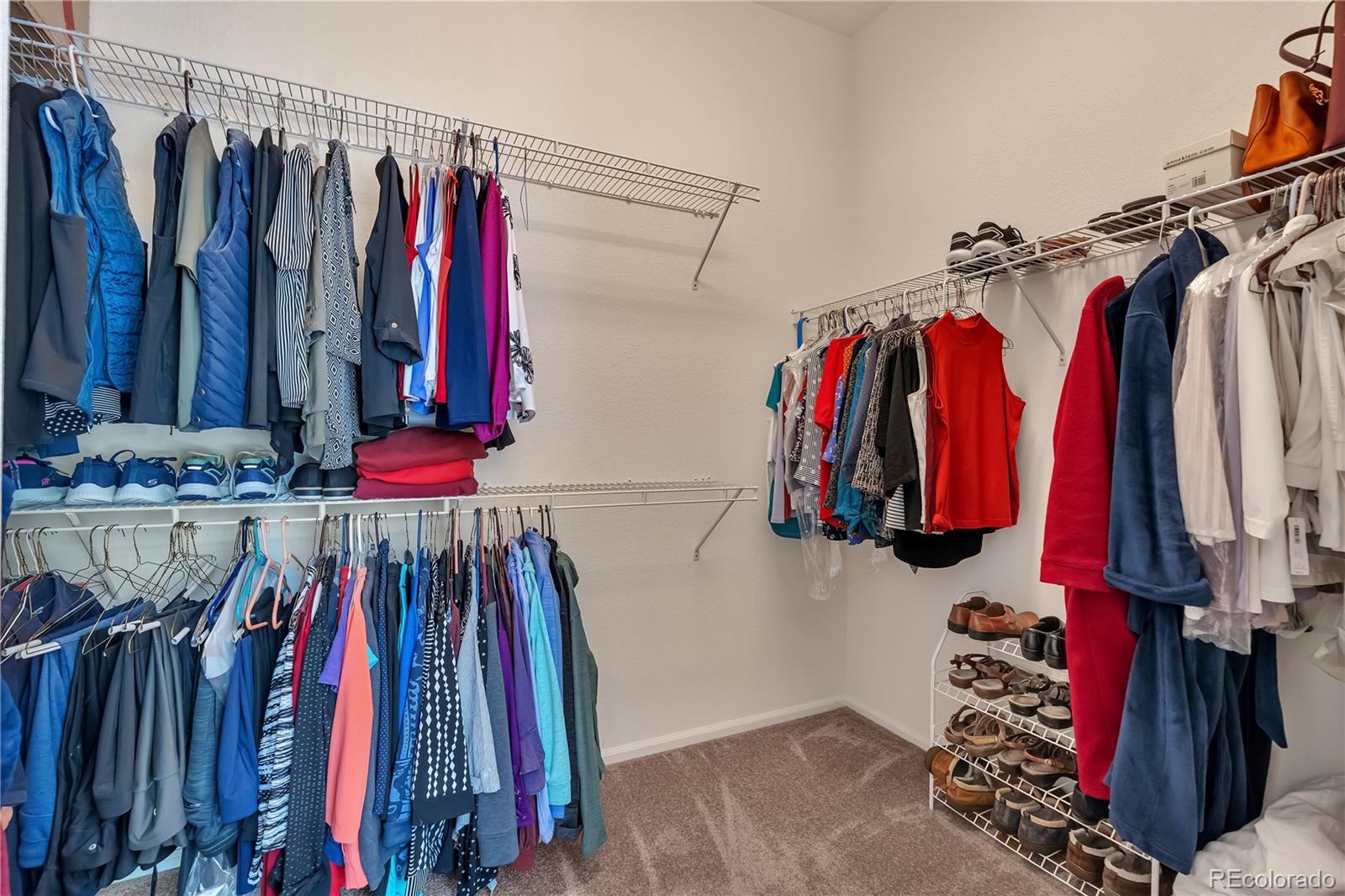 MLS Image #11 for 7211  dolomite lane,castle rock, Colorado