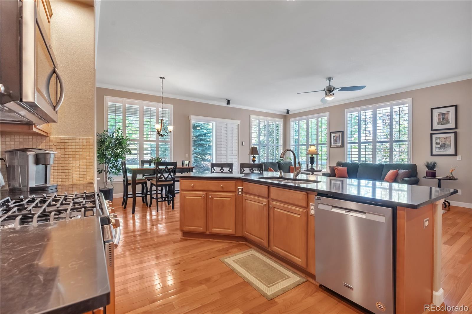 MLS Image #8 for 7211  dolomite lane,castle rock, Colorado