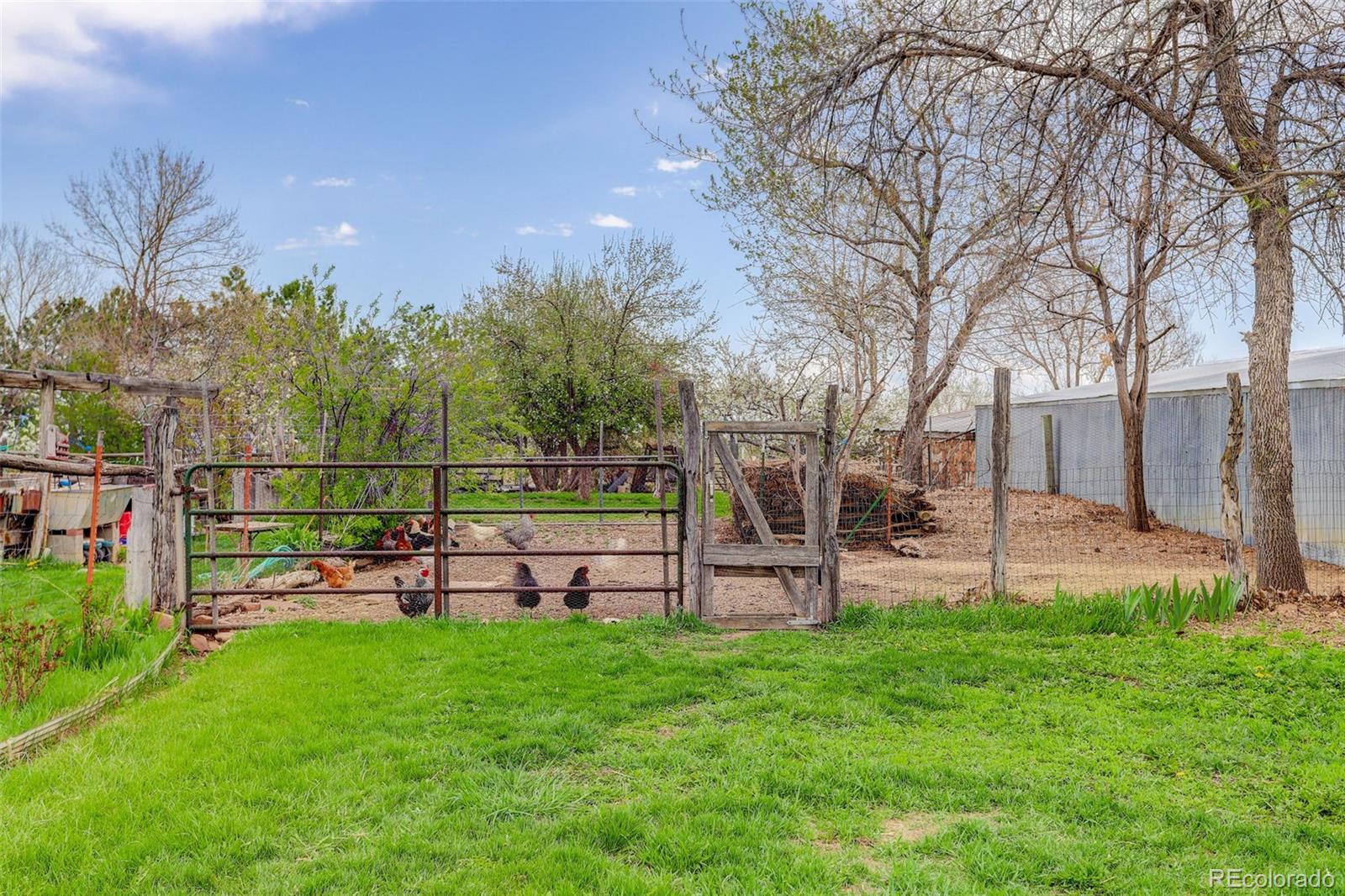 MLS Image #31 for 9445  lykins place,longmont, Colorado