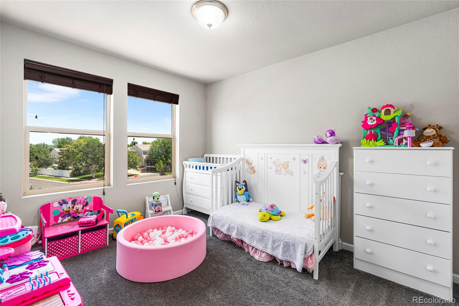 MLS Image #23 for 18651 e 53rd avenue,denver, Colorado