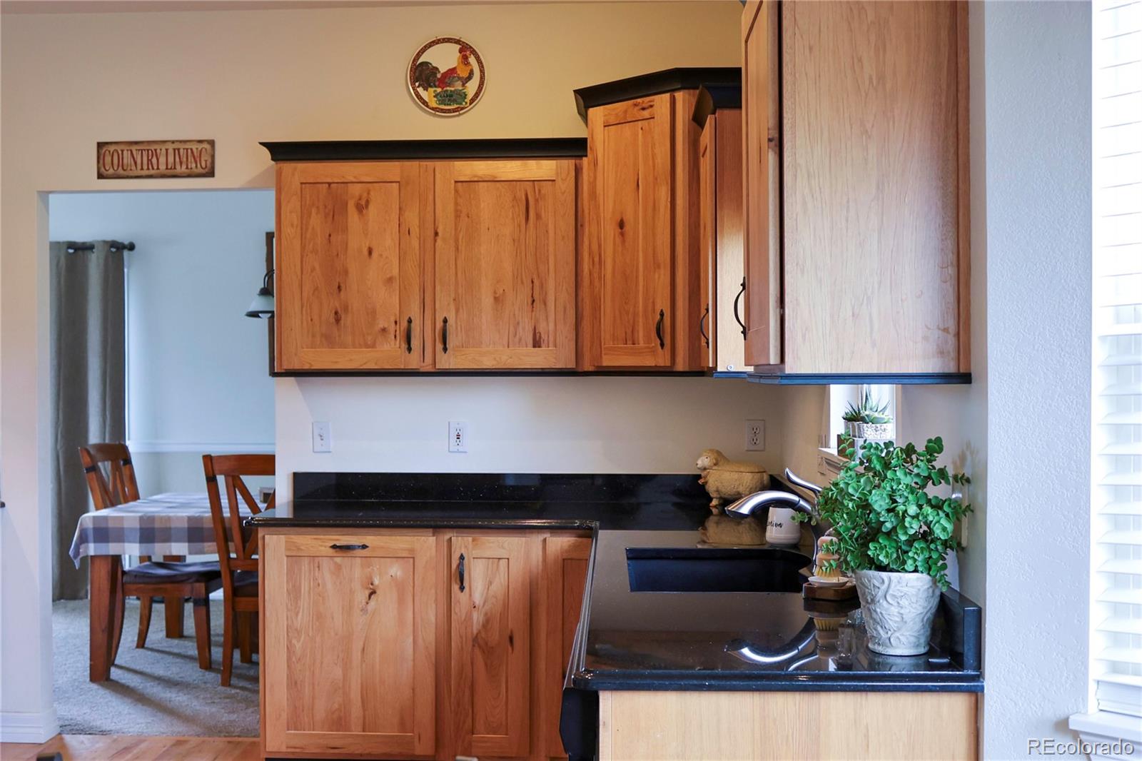 MLS Image #15 for 2501  remington road,elizabeth, Colorado