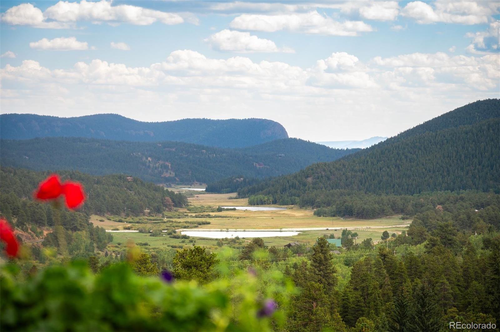 MLS Image #1 for 146  road p61 ,bailey, Colorado