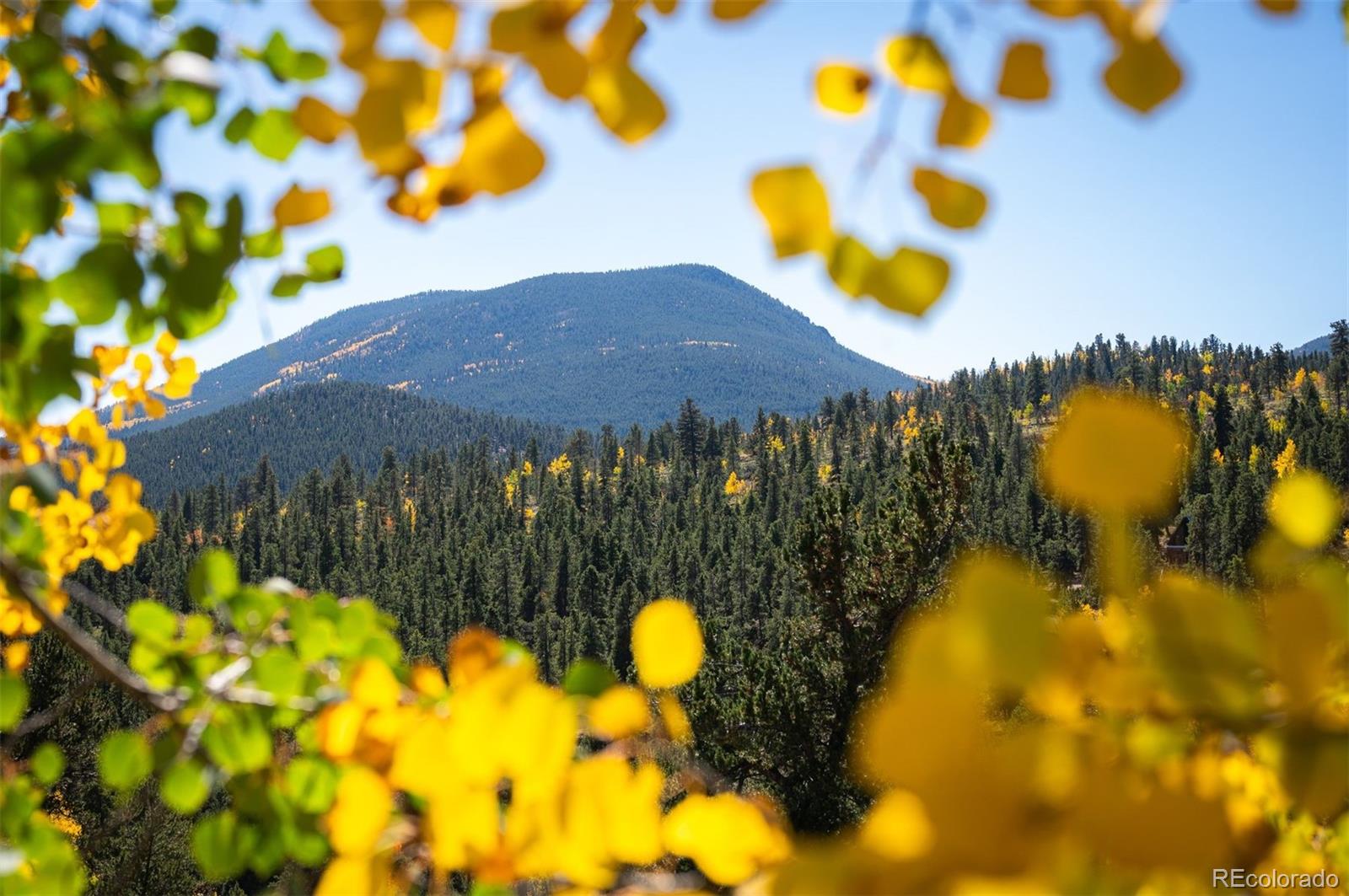 MLS Image #36 for 146  road p61 ,bailey, Colorado