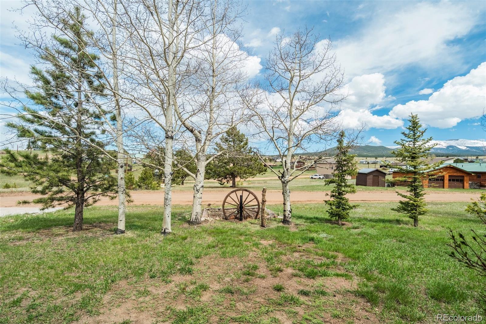 MLS Image #7 for 65  yeoman lane,divide, Colorado