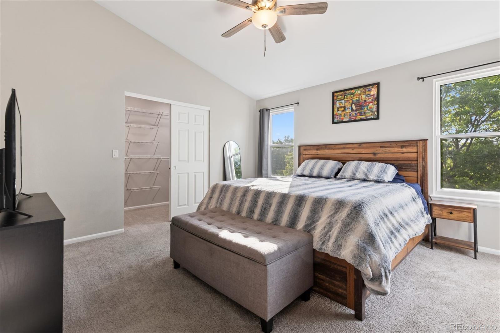 MLS Image #15 for 104  willowick circle,highlands ranch, Colorado