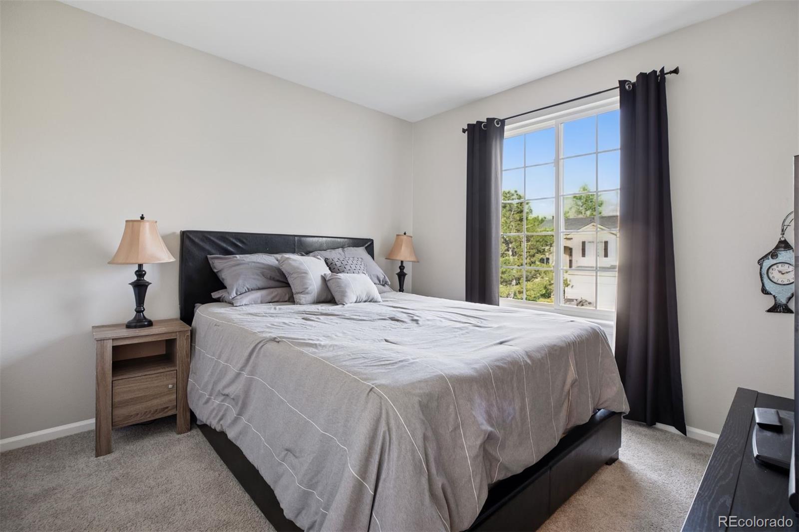 MLS Image #18 for 104  willowick circle,highlands ranch, Colorado
