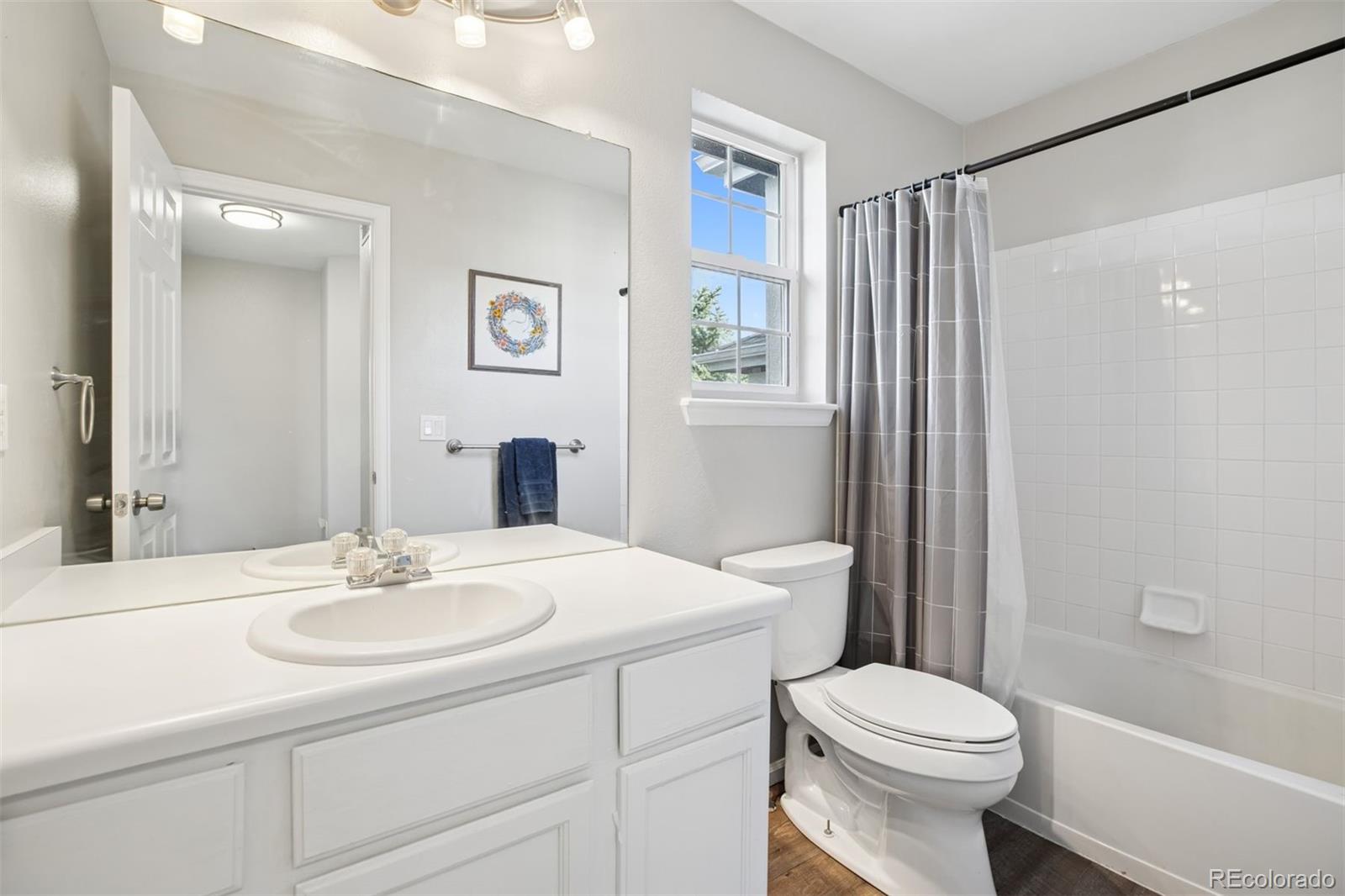 MLS Image #19 for 104  willowick circle,highlands ranch, Colorado