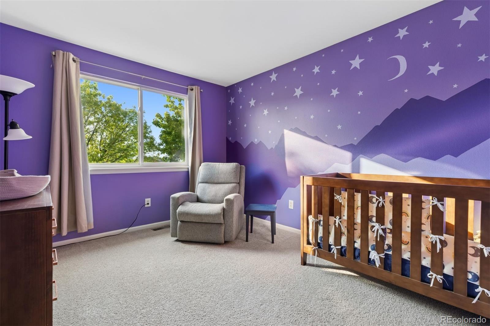 MLS Image #20 for 104  willowick circle,highlands ranch, Colorado