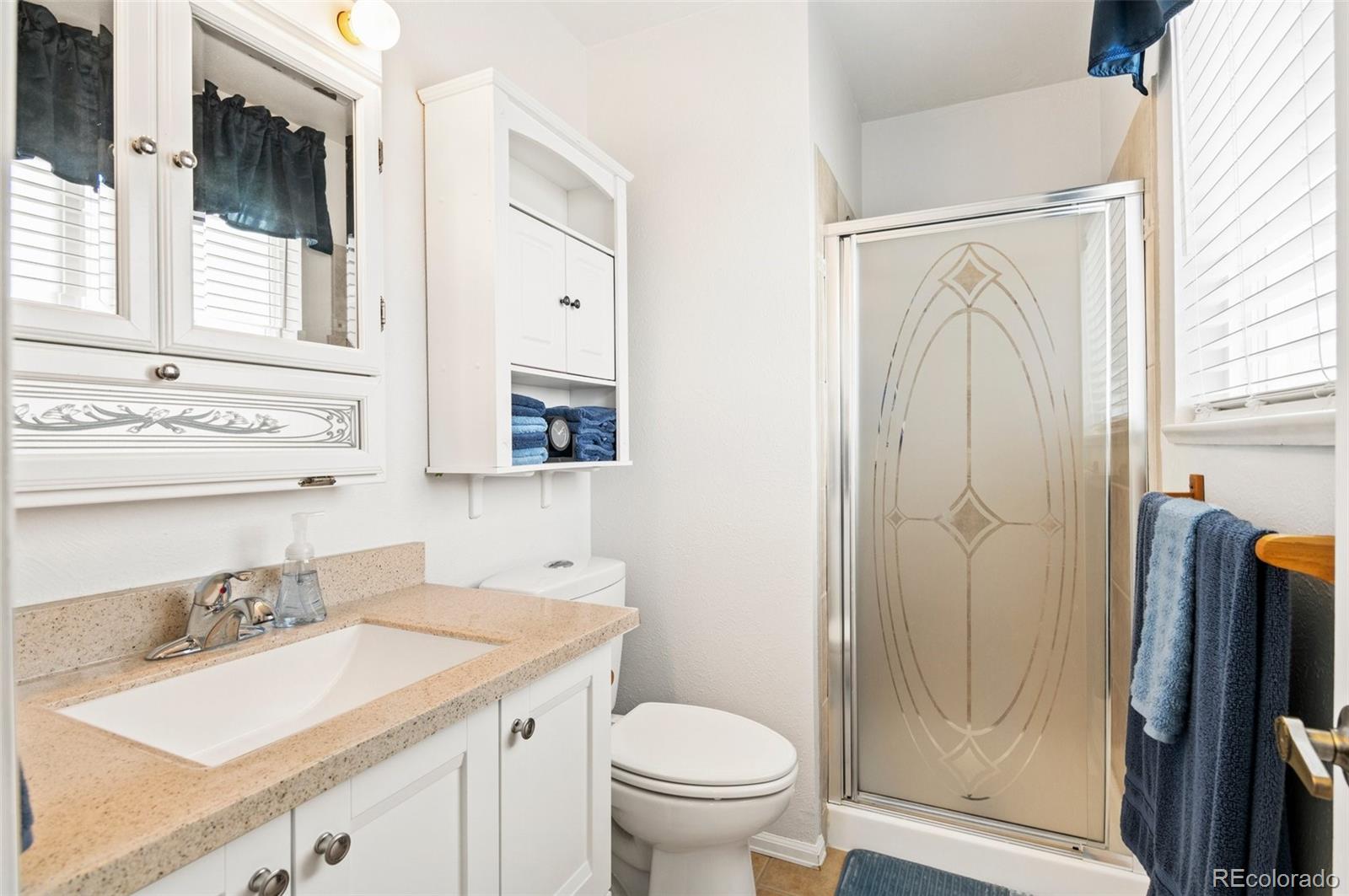 MLS Image #6 for 7350  devinney court,arvada, Colorado