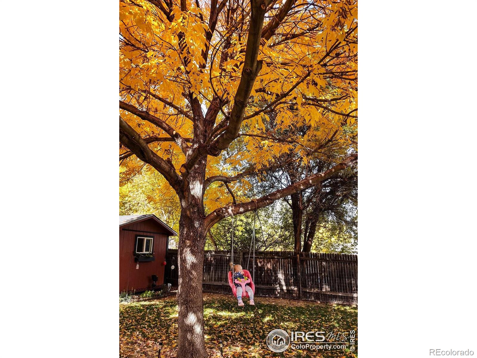 MLS Image #36 for 2325  42nd ave ct,greeley, Colorado