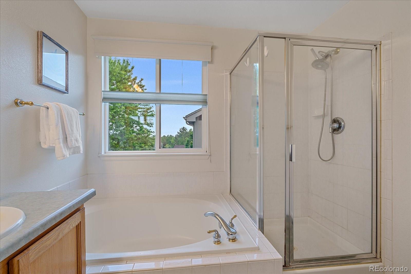 MLS Image #20 for 9869  burberry way,highlands ranch, Colorado