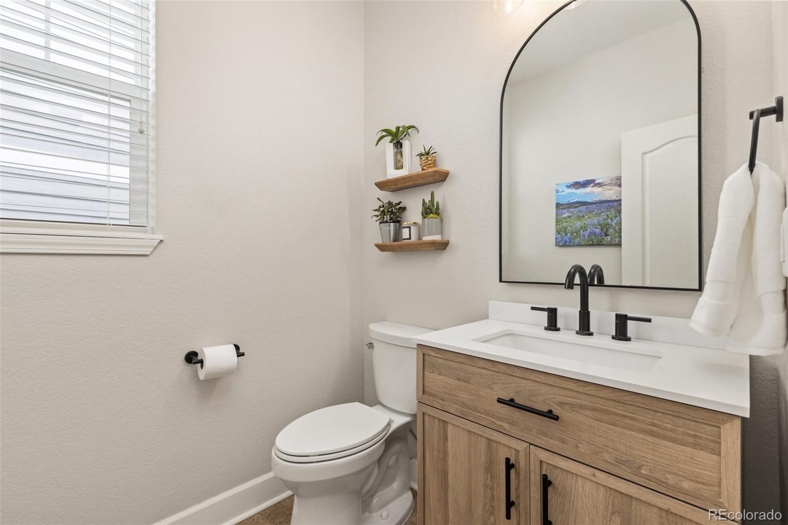 MLS Image #16 for 3319  starry night loop,castle rock, Colorado