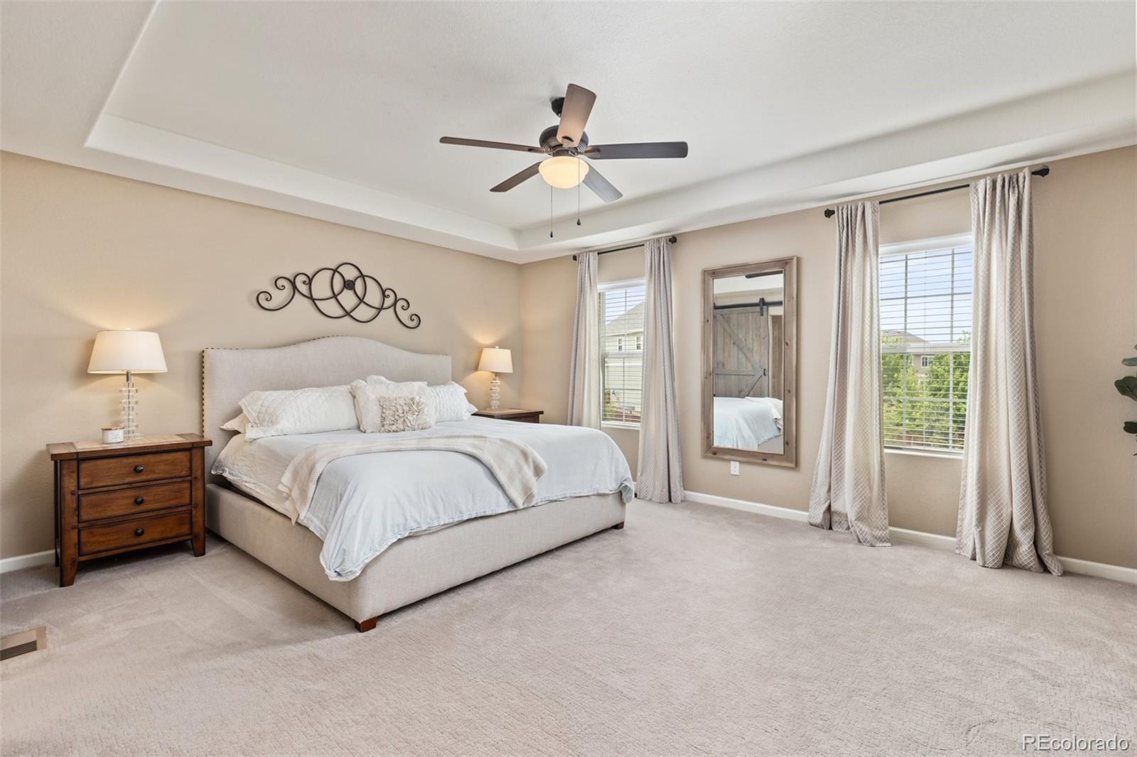 MLS Image #19 for 3319  starry night loop,castle rock, Colorado