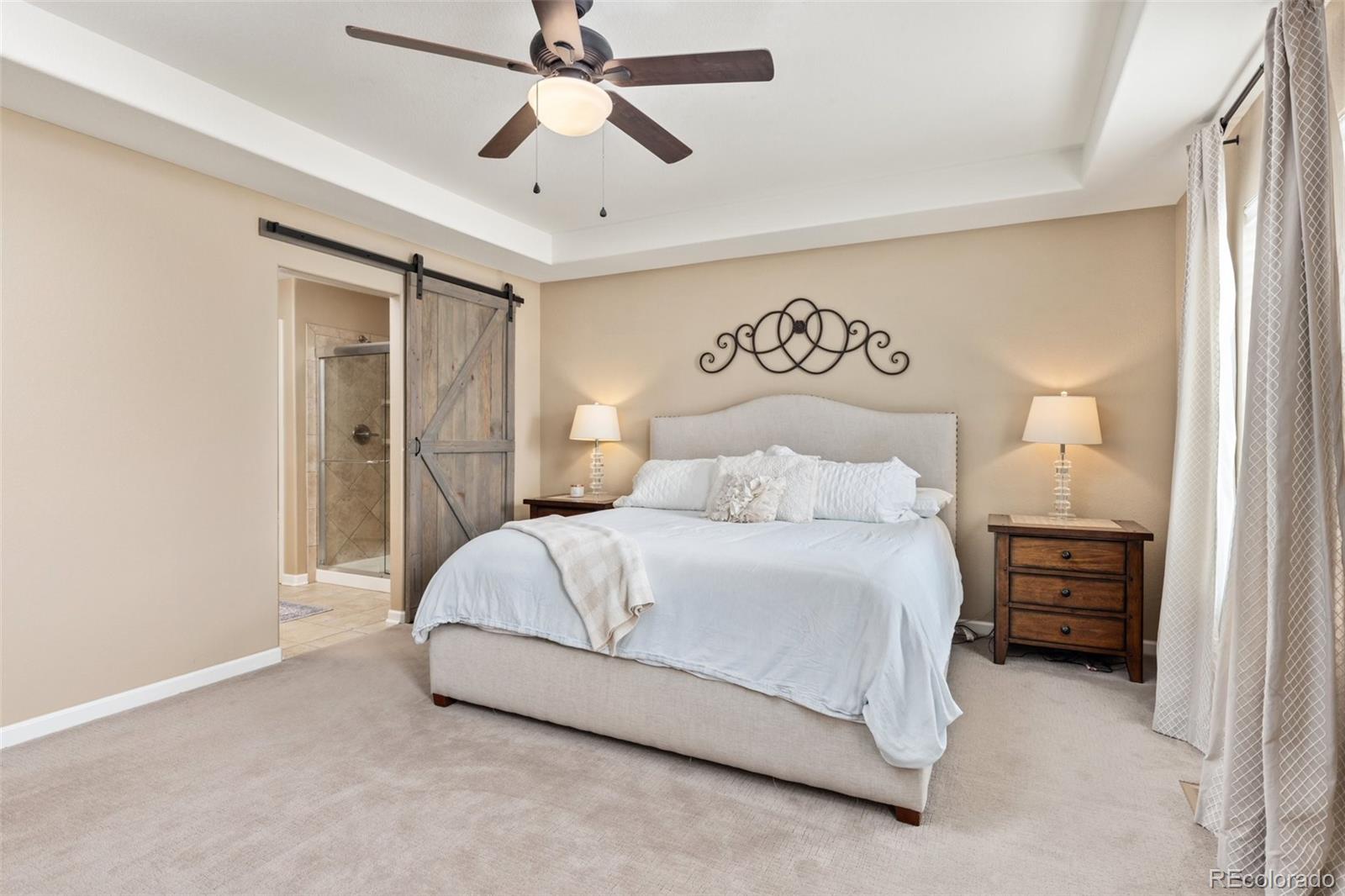 MLS Image #20 for 3319  starry night loop,castle rock, Colorado