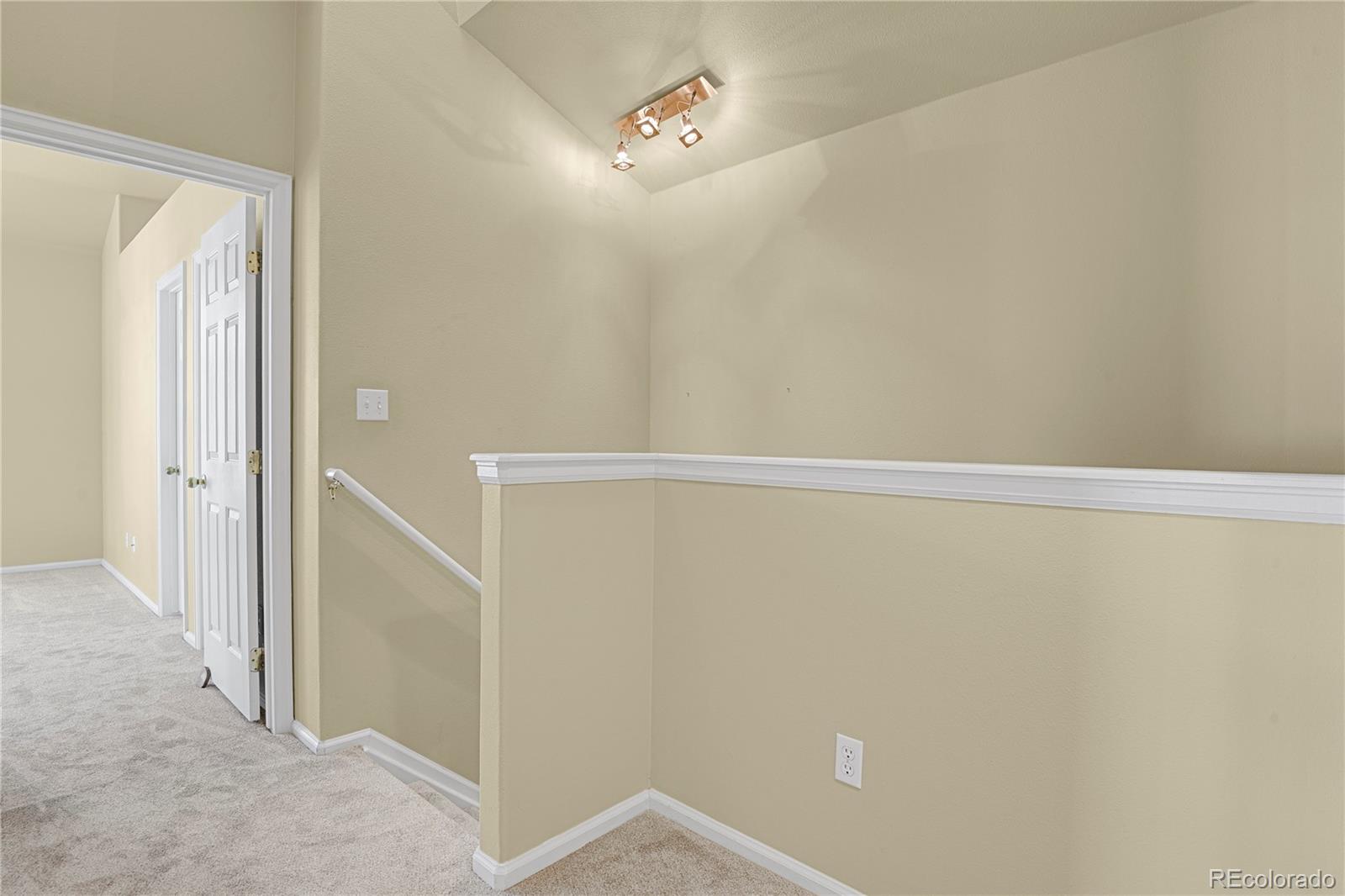 MLS Image #20 for 1356  carlyle park circle,highlands ranch, Colorado