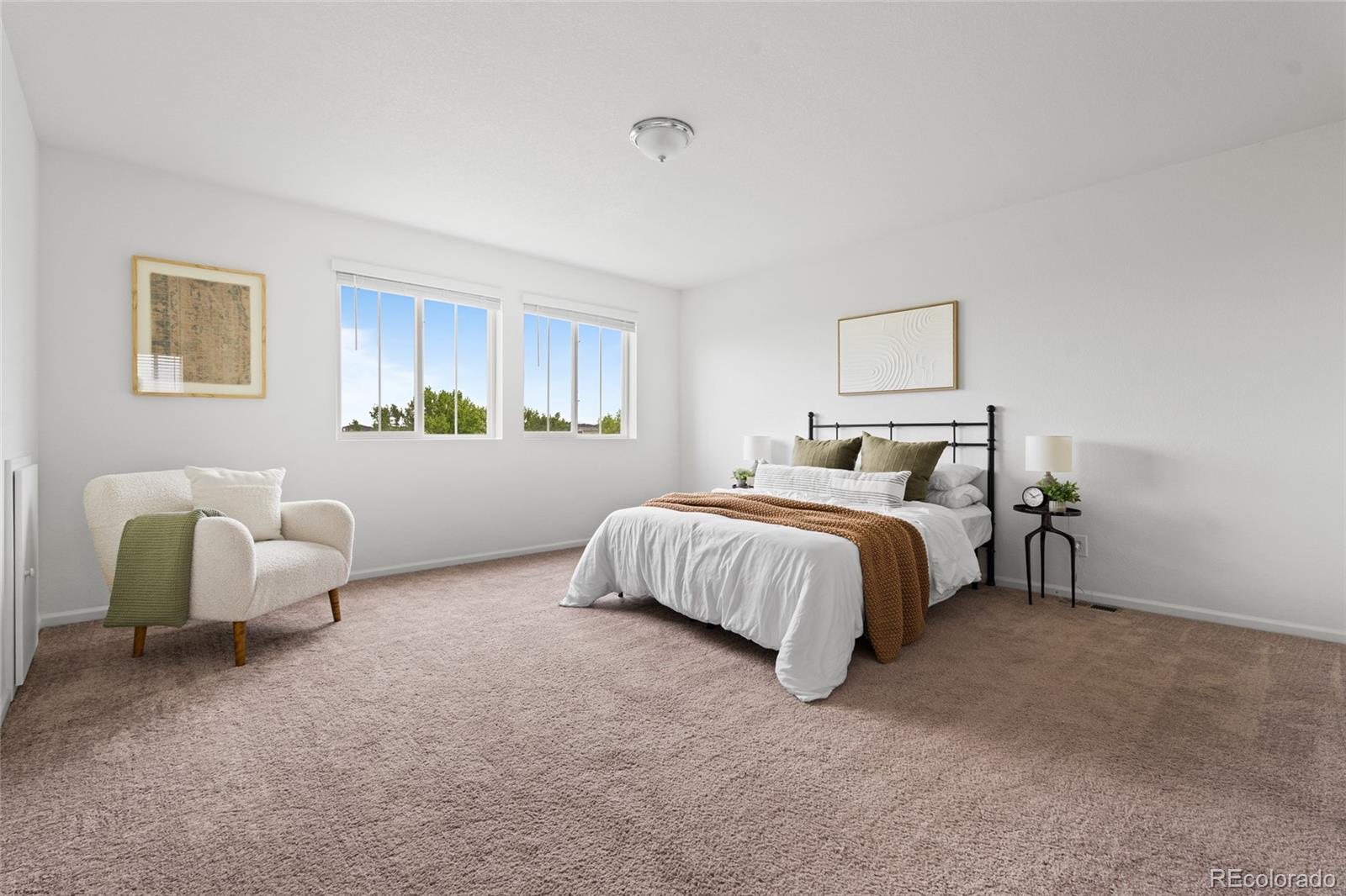 MLS Image #8 for 18645 e 54th place,denver, Colorado
