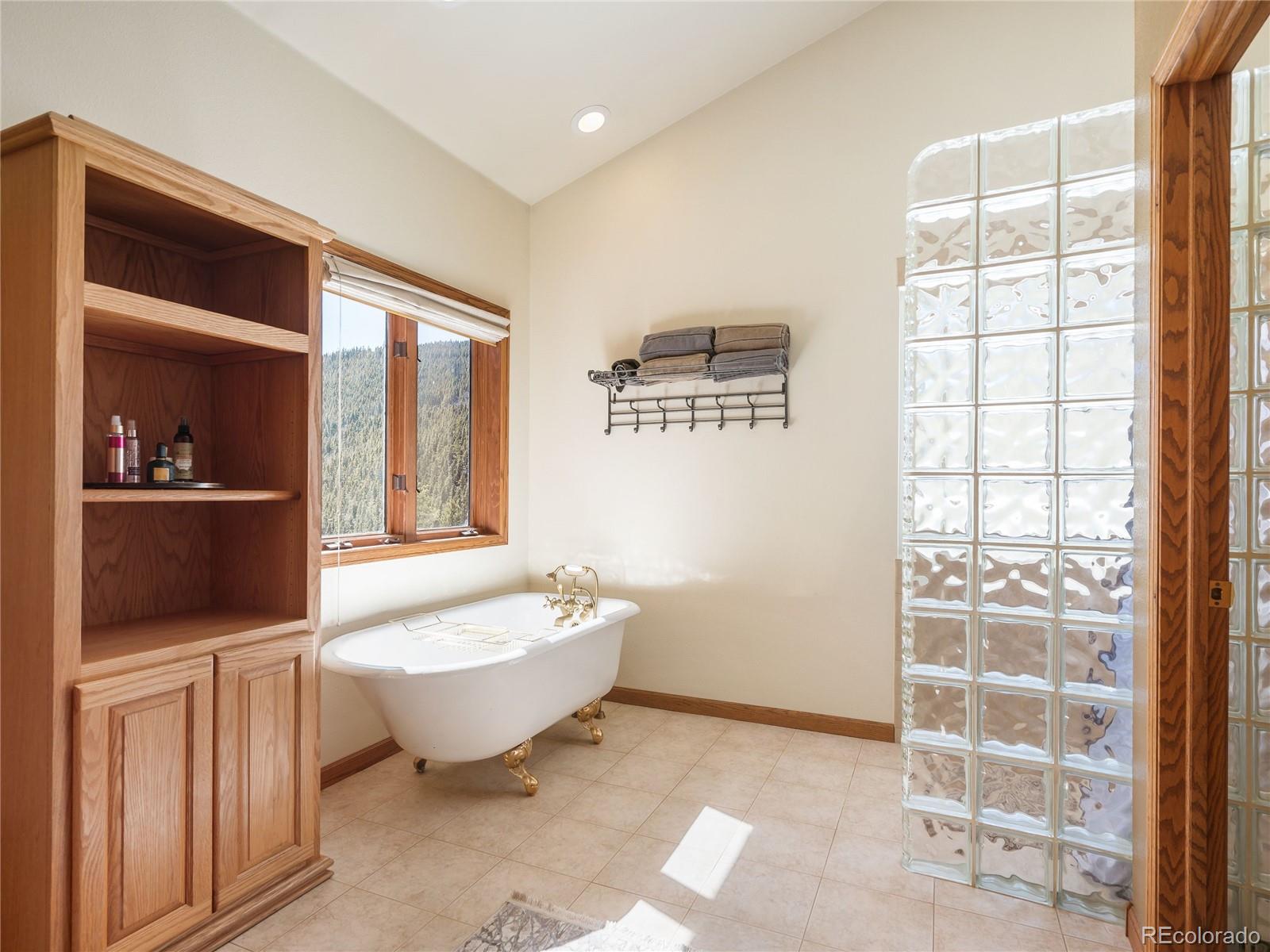 MLS Image #20 for 76  raven ridge road,idaho springs, Colorado