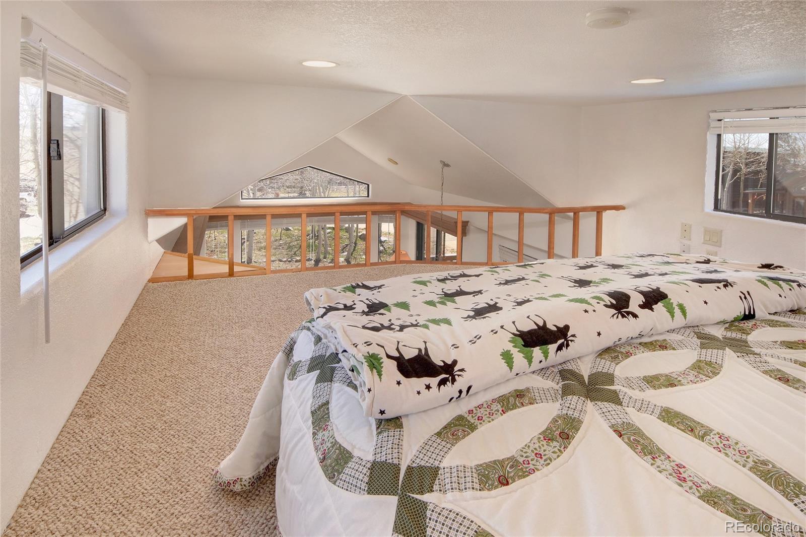 MLS Image #18 for 65  sunshine loop,fairplay, Colorado