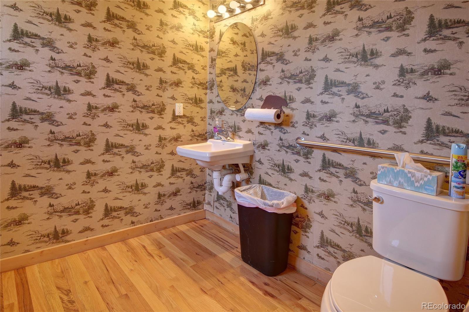 MLS Image #39 for 65  sunshine loop,fairplay, Colorado
