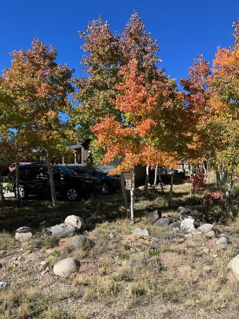 MLS Image #49 for 65  sunshine loop,fairplay, Colorado