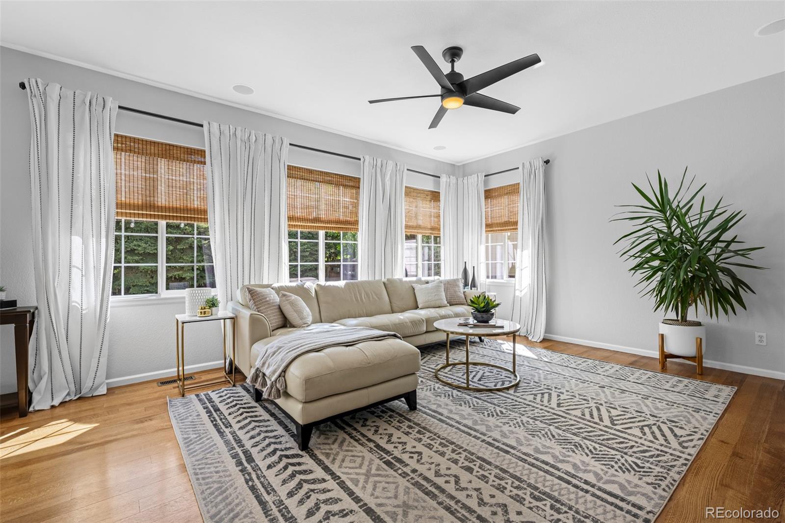 MLS Image #17 for 2880  breezy lane,castle rock, Colorado