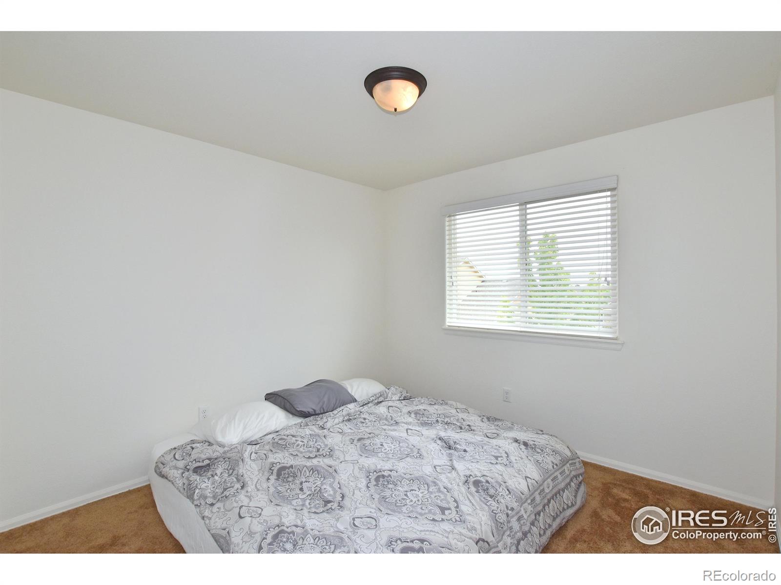 MLS Image #21 for 2334  75th avenue,greeley, Colorado
