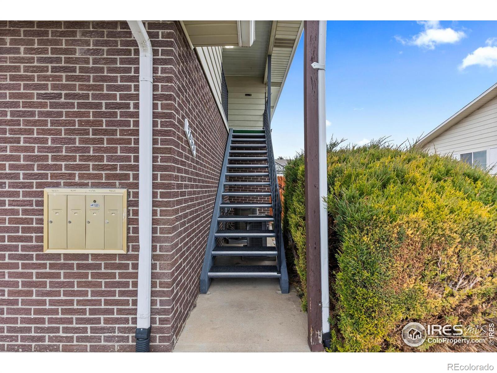 MLS Image #2 for 9868  appletree place,thornton, Colorado