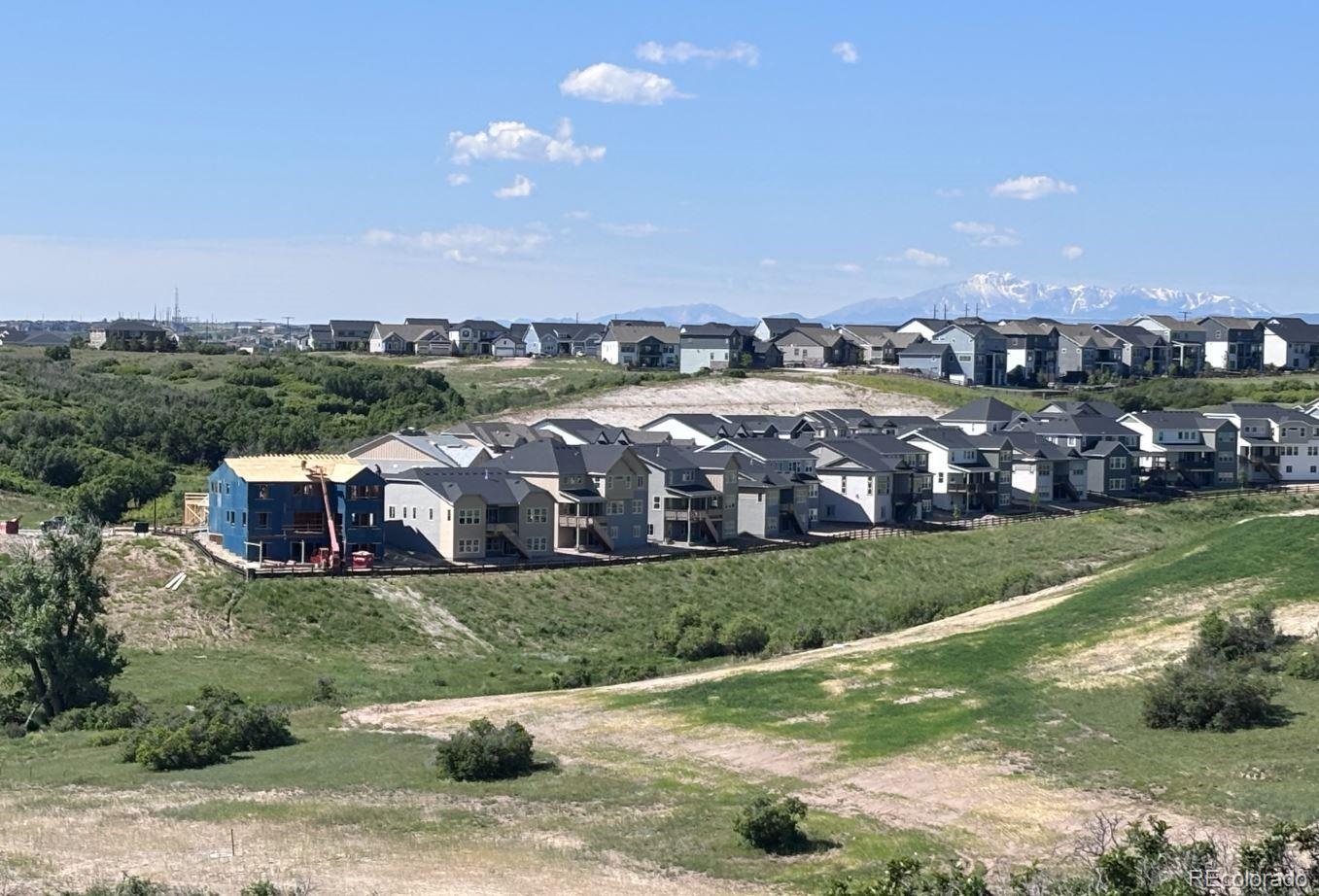 CMA Image for 4273  Ridgewalk Point,Castle Rock, Colorado