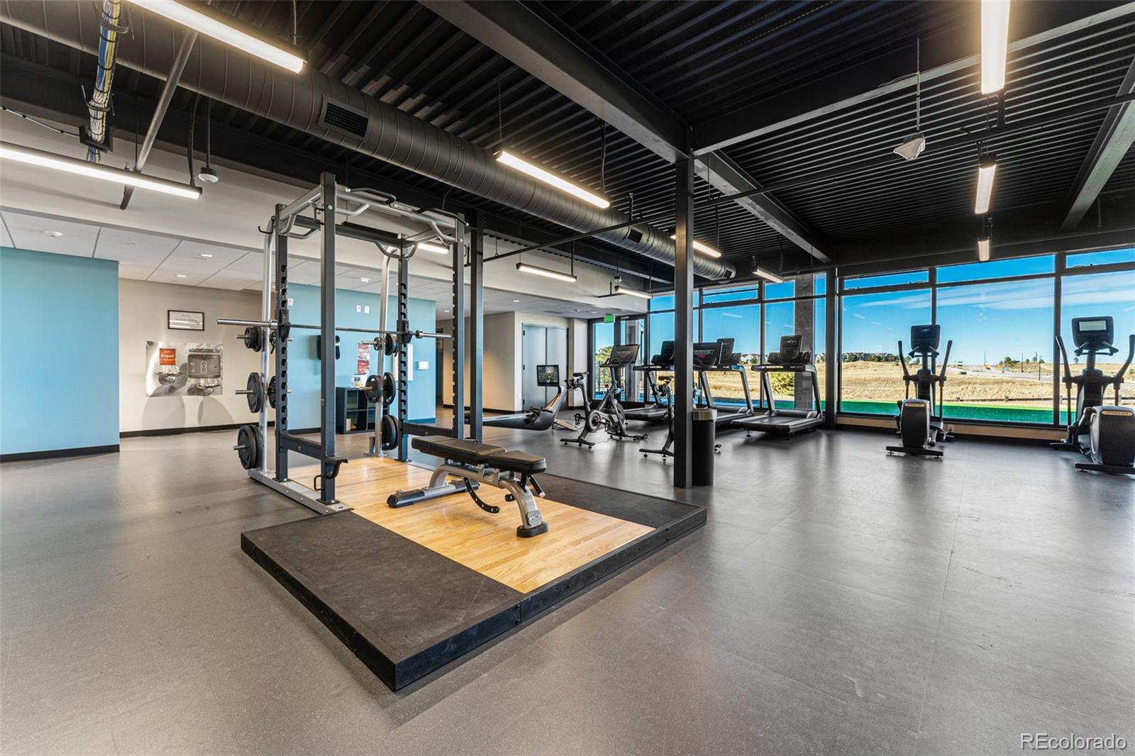 MLS Image #45 for 4273  ridgewalk point,castle rock, Colorado